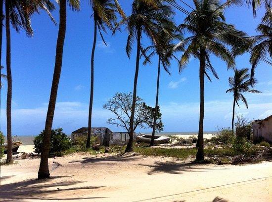 Scoop Cabana Kitesurfing Kalpitiya Kültér fotó